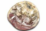 Colorful Polished Petrified Wood Bowl - Madagascar #346825-1